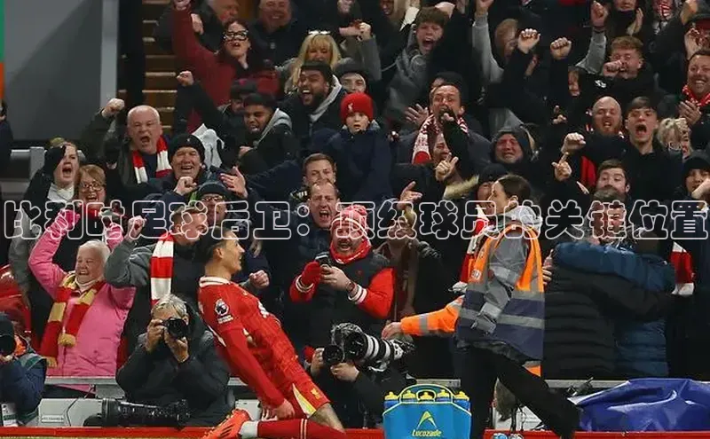 非凡游戏app官网进入美团比利时足球后卫：顶级球员的关键位置