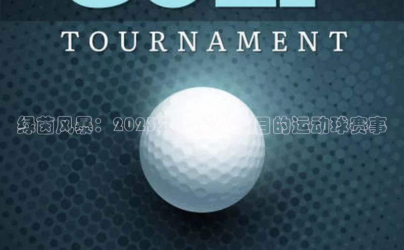 非凡游戏app官网进入梯哥哥科技绿茵风暴：2023年度最受瞩目的运动球赛事