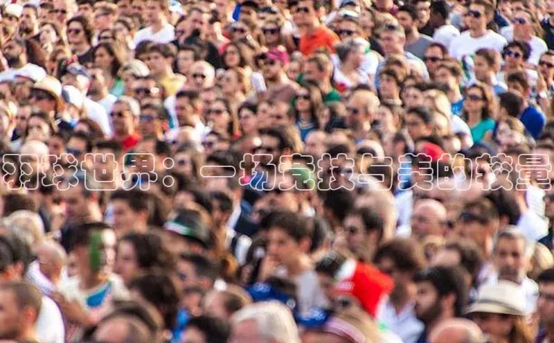 非凡游戏官方网址入口知乎羽球世界：一场竞技与美的较量