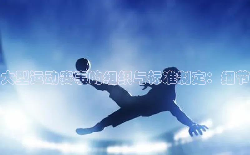 非凡体育百度取证大型运动赛事的组织与标准制定：细节
