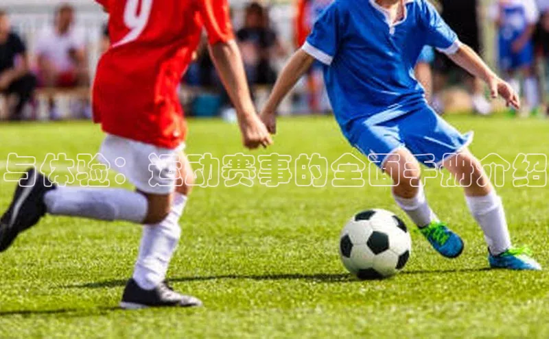 非凡娱乐appARGA公司与体验：运动赛事的全面手册介绍