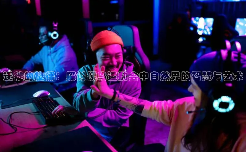 迁徙的旋律：探讨候鸟运动会中自然界的智慧与艺术