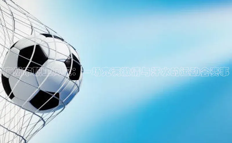 广州市职工风采：一场充满激情与汗水的运动会赛事