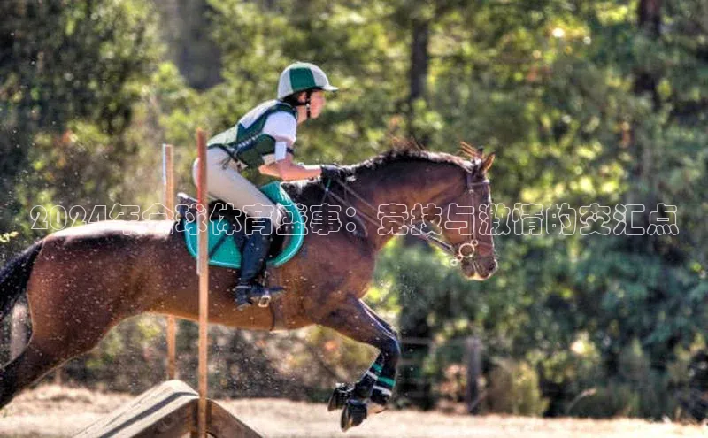 2024年全球体育盛事：竞技与激情的交汇点