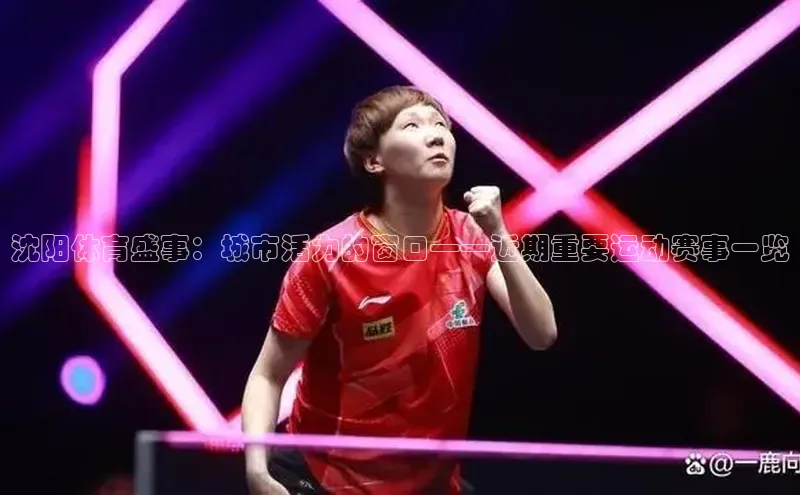 沈阳体育盛事：城市活力的窗口——近期重要运动赛事一览