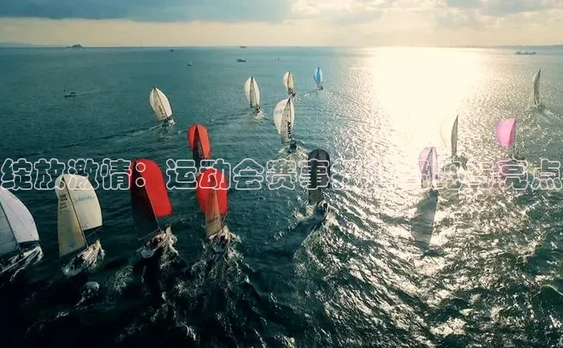 绽放激情：运动会赛事报道概览与亮点