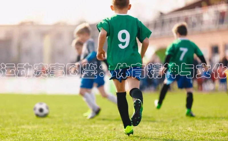 运动赛事图鉴：体育精神与文化