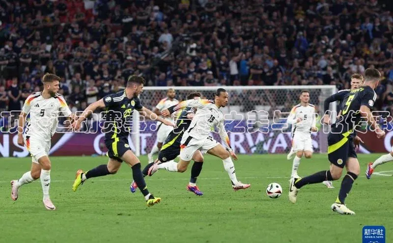 顶级运动赛事：竞技之美与文化传承