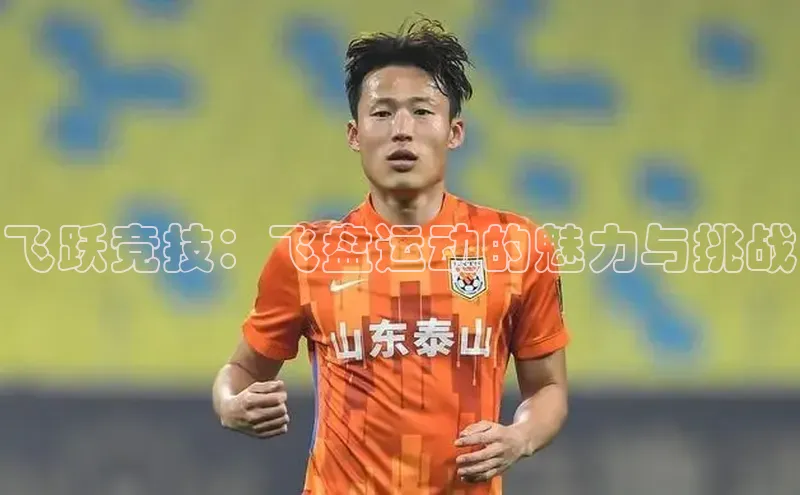 飞跃竞技：飞盘运动的魅力与挑战