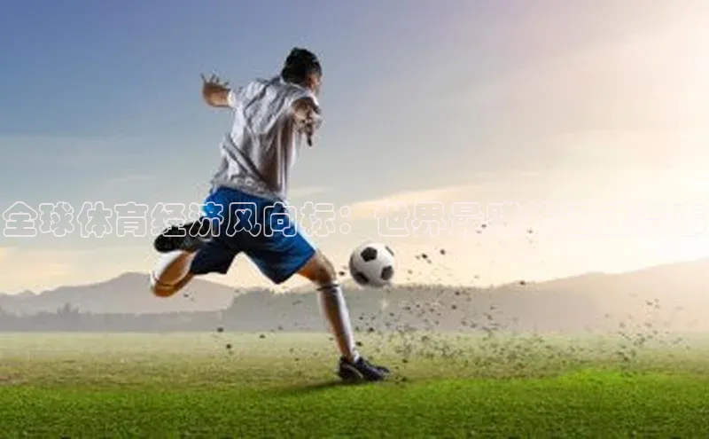 全球体育经济风向标：世界最赚钱运动赛事